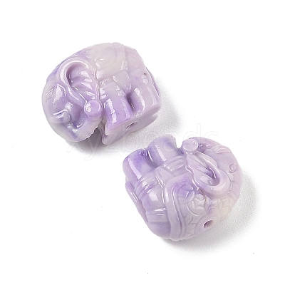 Synthetic Shell Dyed Carved Beads SHEL-K007-17-1