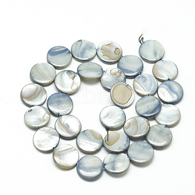 Natural Shell Beads Strands PBB251Y-3-1