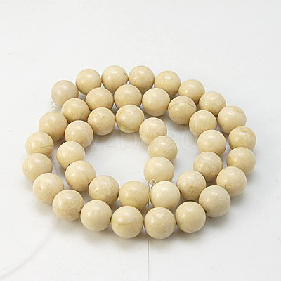 Natural Fossil Beads Strands X-G-E110-12mm-2-1