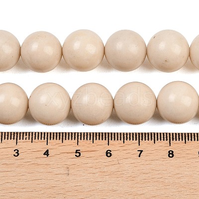 Natural Fossil Beads Strands G-E110-14mm-2-1