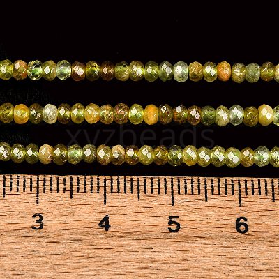 Faceted Rondelle Natural Green Garnet Beads Strands G-F289-40B-1
