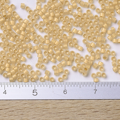 MIYUKI Delica Beads X-SEED-J020-DB0230-1