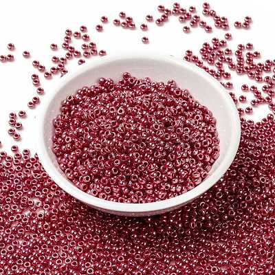 MIYUKI Round Rocailles Beads X-SEED-G008-RR0425-1