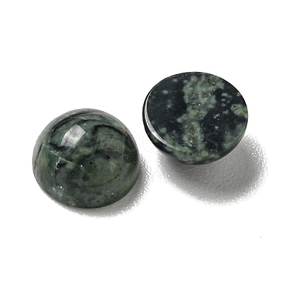 Natural Kambaba Jasper Cabochons G-Q173-01B-22-1