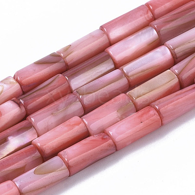 Natural Freshwater Shell Beads X-SHEL-R047-01D-1