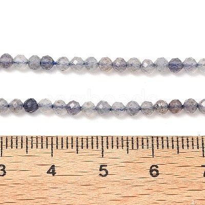 Natural Cordierite/Iolite/Dichroite Beads Strands G-B145-A04-3mm-1