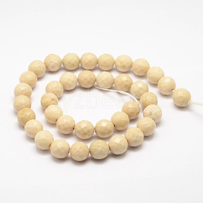 Natural Fossil Round Bead Strands X-G-O151-02-8mm-1