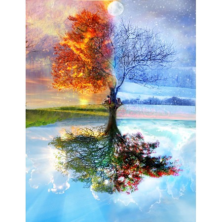 DIY 5D Tree Pattern Canvas Diamond Painting Kits DIY-C021-04-1