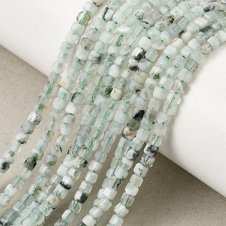Natural Tree Agate Beads Strands GG-CBA0C5B-A01-1