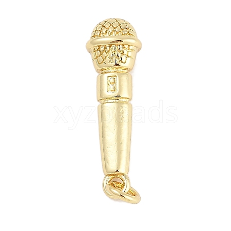 Rack Plating Brass Pendants KK-Q028-10G-1