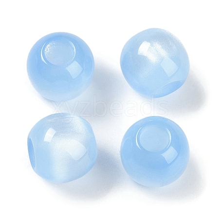 Resin European Beads RESI-F055-02G-1