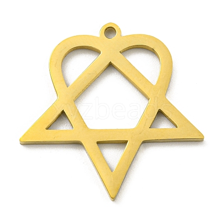 304 Stainless Steel Pendants LS-STAS-R228-03G-1