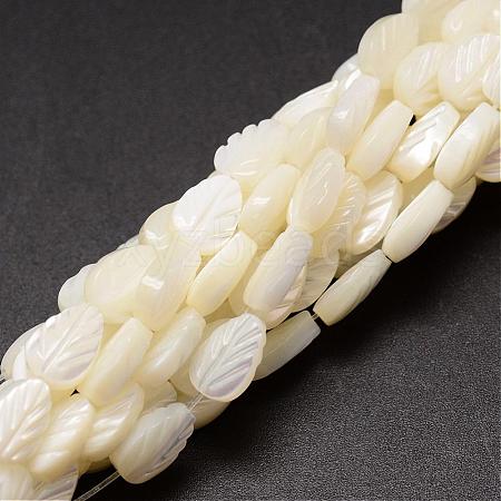 Natural Trochid Shell/Trochus Shell Beads Strands SSHEL-K015-04-1