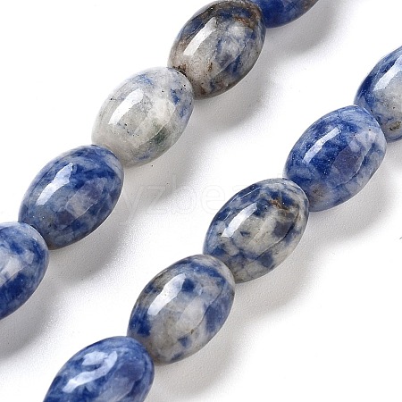 Natural Blue Spot Jasper Beads Strands G-B106-B29-01-1