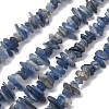 Natural Kyanite/Cyanite/Disthene Chip Beads Strands G-E271-78-1