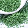 MIYUKI Delica Beads X-SEED-J020-DB0163-1