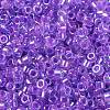 Glass Seed Beads SEED-S042-13A-10-3