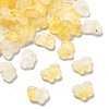 Gradient Color Transparent Acrylic Beads X1-OACR-M023-05B-1