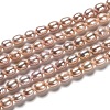 Natural Cultured Freshwater Pearl Beads Strands PEAR-J005-63C-01-1