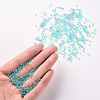 11/0 Grade A Transparent Glass Seed Beads X-SEED-N001-E-318-4