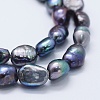 Natural Cultured Freshwater Pearl Beads Strands PEAR-K004-02B-3