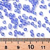 8/0 Round Glass Seed Beads SEED-US0003-3mm-166-3