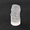 Natural Selenite Figurines DJEW-Q006-01I-2