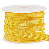 10 Yards Polyester Twist Cord Rope Trim SRIB-AR0001-14-1