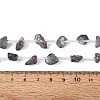 Electroplate Raw Rough Natural Amethyst Beads Strands G-Q610-06D-5