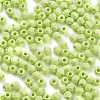 Baking Paint Glass Seed Beads SEED-A032-02F-3