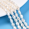 Natural Cultured Freshwater Pearl Beads Strands PEAR-N014-05F-01-1