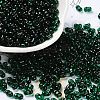 Glass Seed Beads SEED-L011-02A-07-1