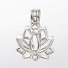 Alloy Diffuser Locket Pendants PALLOY-S062-40P-2