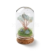 Natural Flower Amazonite Chips Money Tree in Dome Glass Bell Jars with Wood Base Display Decorations DJEW-K030-02E-1