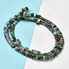 Natural African Turquoise (Jasper) Beads Strands G-Z045-A10-01-3