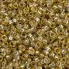 MIYUKI Round Rocailles Beads SEED-X0056-RR0578-3