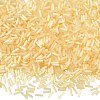 50g Glass Bugle Beads SEED-SZ0001-024G-1