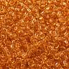 TOHO 8/0 Round Beads X-SEED-TR08-0002B-2