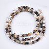 Black Lip Shell Beads Strands X-SHEL-S274-92B-2