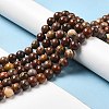 Natural Gemstone Beads Strands G-A215-01C-4