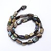 Natural Paua Shell Beads Strands SSHEL-J047-03-2