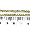 Natural Green Apatite Beads Strands G-F770-C03-02-5