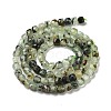 Natural Prehnite Beads Strands G-B088-E16-04-3