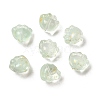 Transparent Glass Beads GLAA-D304-02C-1