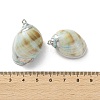Conch Shell Pendants SSHEL-B002-06A-3