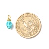 Dyed Synthetic Turquoise Charms PALLOY-JF01452-02-3