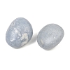 Natural Angelite Beads GG-CBAD0F6-B01-01-3
