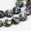 Natural Abalone Shell/Paua Shell Beads Strands SSHEL-G003-5-10x3mm-3