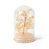 Natural Yellow Quartz Chips Money Tree in Dome Glass Bell Jars with Wood Base Display Decorations DJEW-B007-04F-1