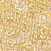 6/0 Glass Seed Beads X-SEED-A015-4mm-2202-2